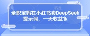 全职宝妈在小红书卖DeepSeek提示词,一天收益1k-湘创网