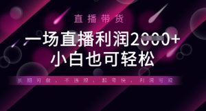 半无人直播带货,一场利润数张,适合所有平台玩法,小白也可轻松-湘创网