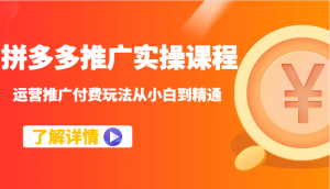 拼多多推广实操课程:运营推广付费玩法从小白到精通-湘创网