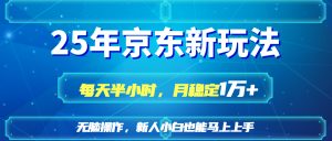 (14309期)25京东新玩法,每天半小时,月稳定1W+-湘创网
