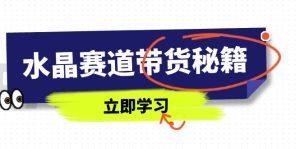 (14406期)水晶赛道带货秘籍,国学结合、短视频起号、拍摄技巧、直播话术等内容-湘创网