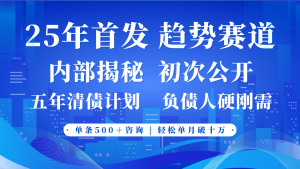 2025年首次公开,真正的事业型赛道,客咨不断,单月轻松破十-湘创网