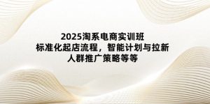 (14522期)2025淘系电商实训班:标准化起店流程,智能计划与拉新,人群推广策略等等-湘创网