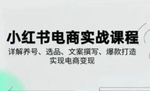 小红书从0-1实操课(2023-2025),详解养号、选品、文案撰写、爆款打造实现电商变现-湘创网