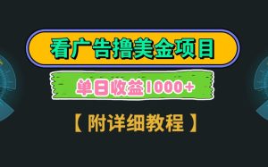 Google谷歌看广告撸美金,3分钟到账2.5美元,自撸拉新收益无上限,轻松日入1k+-湘创网