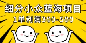 细分小众蓝海项目,一单利润3张,每月收入稳定过1w+-湘创网