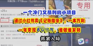 一个冷门需求,通过小红书卖《记账指令》,一本万利,谁做谁发,抓紧入局-湘创网