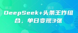 DeepSeek+头条王炸组合，单日变现3张-湘创网