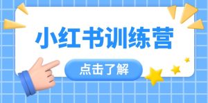 (14545期)小红书训练营,助小白入门,掌握技巧变达人,课程实操又全面(12节课)-湘创网