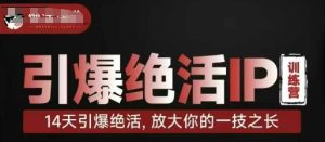引爆绝活IP训练营,14天引爆绝活,放大你的一技之长-湘创网