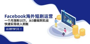 Facebook海外短剧运营：一个月涨粉10万，从0基础到实战，快速实现收入到账-湘创网