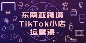 (14390期)东南亚跨境TikTok小店运营课,掌握店铺设置与流量转化核心技巧-湘创网
