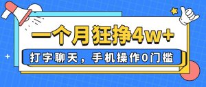 (14340期)一个月狂挣4w+,打字聊天,手机操作0门槛,新手小白都能做!-湘创网
