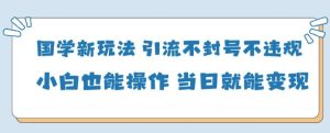国学新玩法,引流不封号不违规小白也能操作,当日就能变现-湘创网