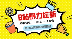 B站暴力拉新:一单12,一天几张,0门槛拉新(附渠道和教程)-湘创网