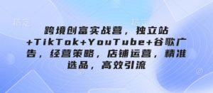跨境创富实战营，独立站+TikTok+YouTube+谷歌广告，经营策略，店铺运营，精准选品，高效引流-湘创网