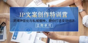 IP文案创作特训营,灵魂IP显化与私域播种,助你打造变现闭环(14节课)-湘创网