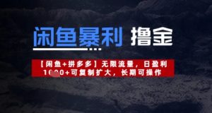 闲鱼暴利撸金无限流量,日盈利几张,可复制扩大,长期可操作-湘创网