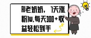 (14516期)AI老奶奶,7天1w涨粉,每天300+收益轻松到手-湘创网