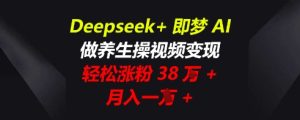 Deepseek+即梦AI,做养生操视频变现,轻松涨粉38W+,月入一W+-湘创网
