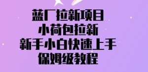 蓝厂拉新项目,小荷包拉新,新手小白快速上手,保姆级教程-湘创网