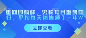 重回即颠峰,男粉项目重磅回归,平均每天销售额1-4W-湘创网