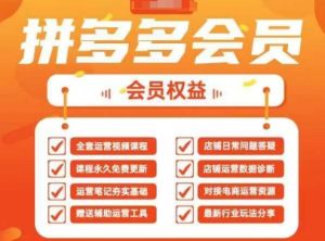 2025拼多多运营实战课,40节全流程教学,覆盖拼多多运营全链路-湘创网