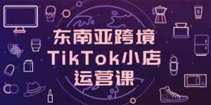 东南亚跨境TikTok小店运营课,掌握店铺设置与流量转化核心技巧-湘创网