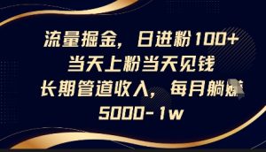 流量掘金,日进粉100+,当天上粉当天见钱,长期管道收入,每月躺挣5k-湘创网
