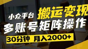 (14288期)得物平台变现新蓝海!无脑复制热门视频,多账号同步运营,每天半小时躺...-湘创网