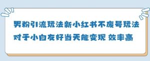 男粉引流玩法(新),玩法友好做的好当天就能变现-湘创网