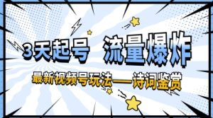 一天收入几张,视频号最新赛道—诗词鉴赏,3天必起,流量爆炸,新人也能轻松上手-湘创网