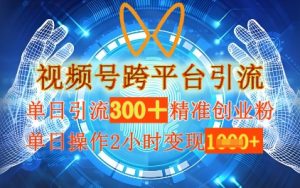 视频号跨平台引流,单日操作2小时,单日引流300+精准创业粉,单日变现数张-湘创网