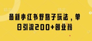 最新小红书野路子玩法,单日引流200+创业粉-湘创网