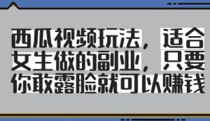 西瓜视频玩法,适合女生做的副业,只要你敢露脸就有收益-湘创网