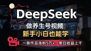 DeepSeek+既梦Ai生成养生视频,5分钟一条,条条爆款,轻松日入300+-湘创网