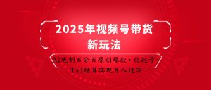 2025年视频号带货新玩法:AI炮制百分百原创爆款,稳起号,T+1结算实现月入过万-湘创网