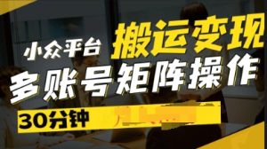 2025得物视频号创作激励，去重软件加持爆款视频，矩阵玩法月入过W+-湘创网