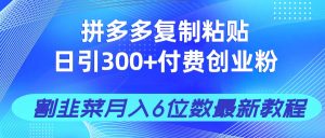 (14232期)拼多多复制粘贴日引300+付费创业粉,割韭菜月入6位数最新教程!-湘创网