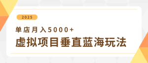 4月虚拟项目垂直玩法,冷门爆品+垂直蓝海,单店月入5000+-湘创网