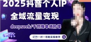2025个人IP短视频带货(进阶版)全域流量变现,deepseek千川爆单进阶课-湘创网