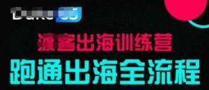 出海训练营基础课,跑通出海全流程,实战案例拆解-湘创网