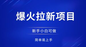 爆火拉新项目,有手就行,小白轻松入门,日入1张拉新整套流程-湘创网