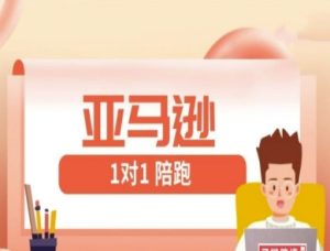 亚马逊1对1陪跑课(FBA/FBM精铺)跨境亚马逊教程-湘创网
