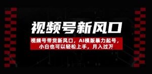 视频号带货新风口,AI模版暴力起号,小白也可以轻松上手,月入过W-湘创网
