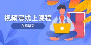 (14360期)视频号实战课程,轻IP打造与运营技巧,掌握核心方法与策略-湘创网