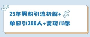 25年男粉引流拆解+单日引200人+变现多张-湘创网