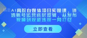 AI高阶自媒体项目实操课,讲透账号运营底层逻辑,从发布视频到规避违规一网打尽-湘创网