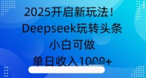 2025开启新玩法!Deepseek玩转头条,小白可做,单日收入几张-湘创网