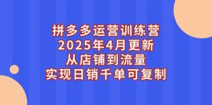 (14469期)拼多多运营训练营2025年4月更新,从店铺到流量,实现日销千单可复制-湘创网